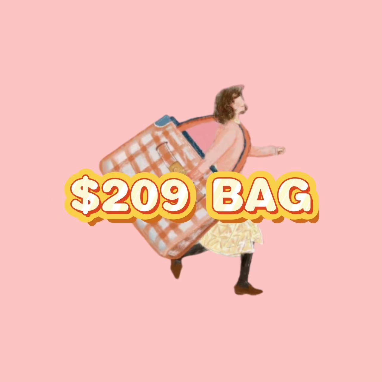 $209 Gem Crossbody-Designed bag